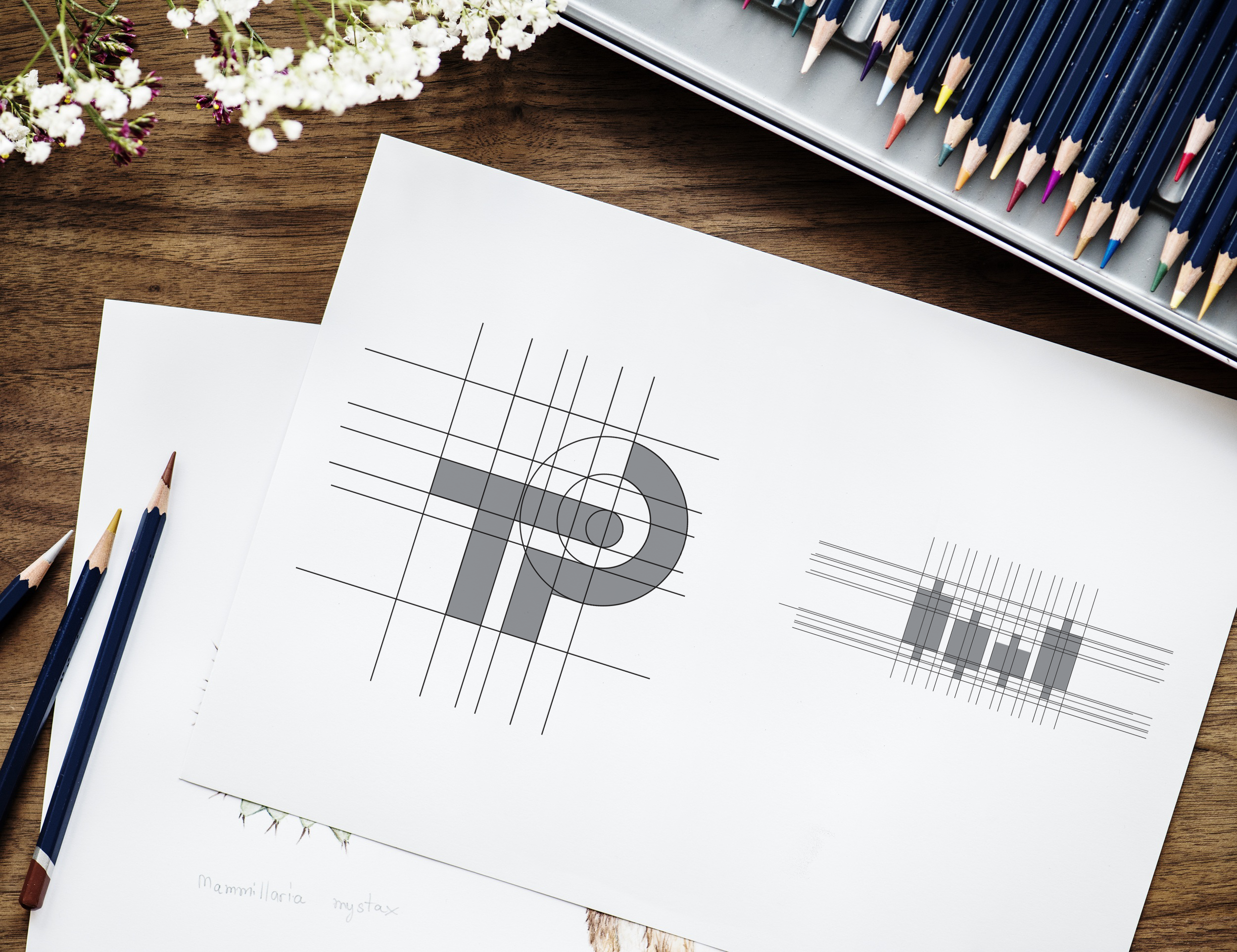 PROFIT TRADING – Branding y Web